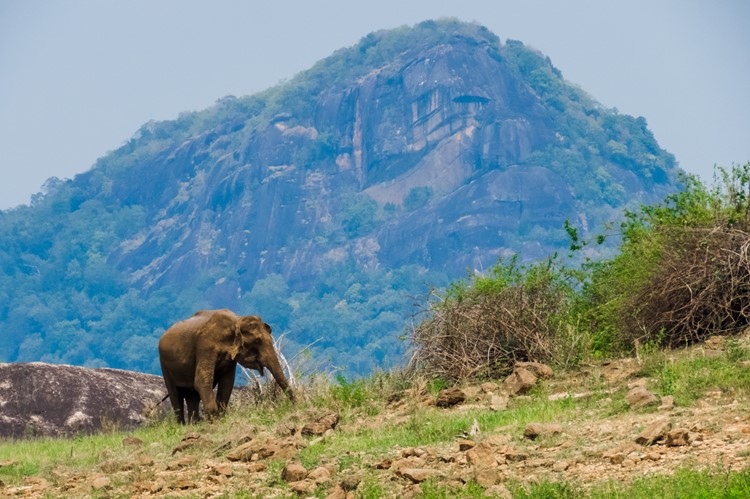 Gal Oya Nationaal Park - Sri Lanka